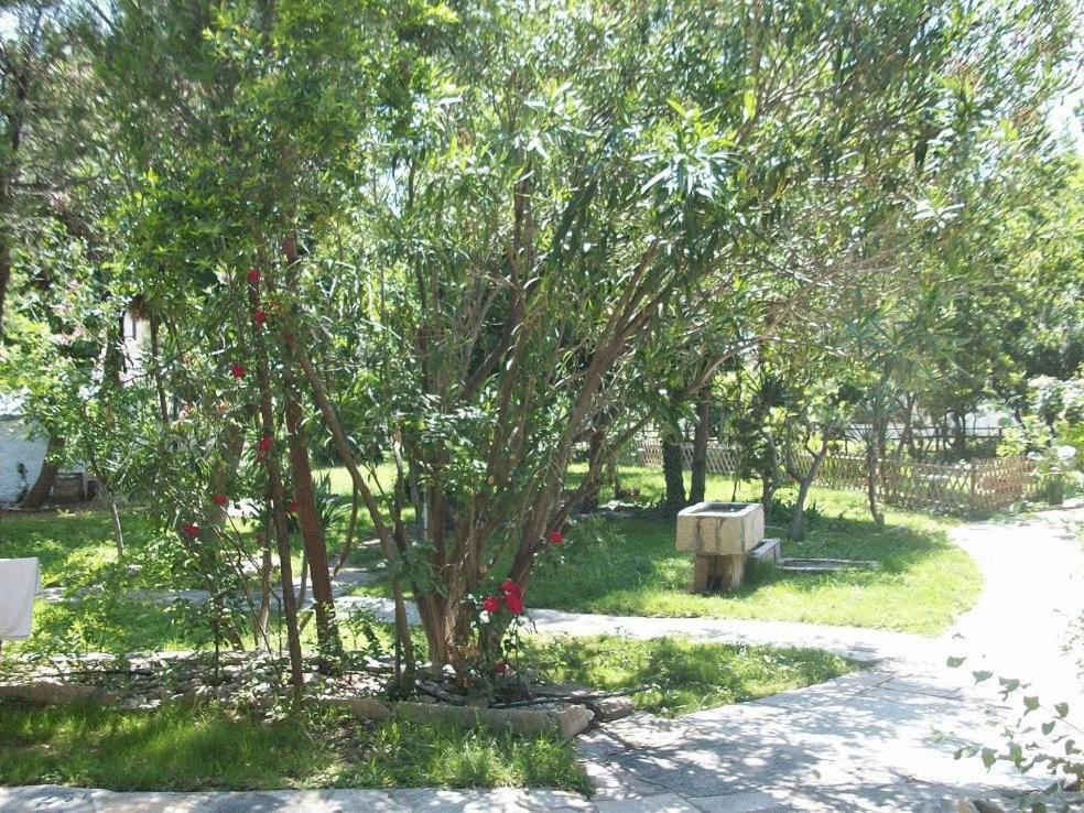 Escape to Serenity at Lysistrata Bungalows