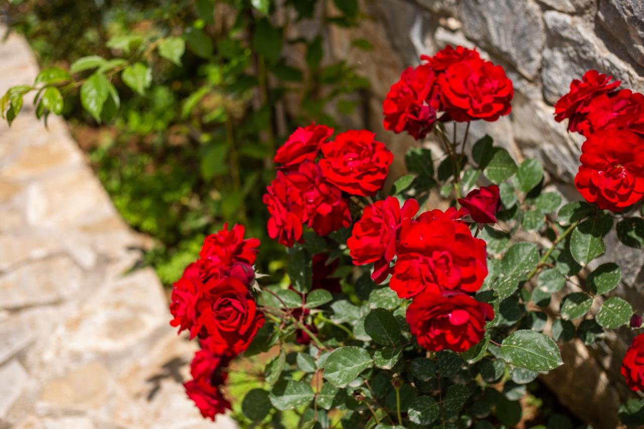 Experience Luxury and Serenity at Hotel Aphrodite
